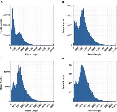 PacBio Single-Molecule Long-Read Sequencing Provides New Light on the Complexity of Full-Length Transcripts in Cattle